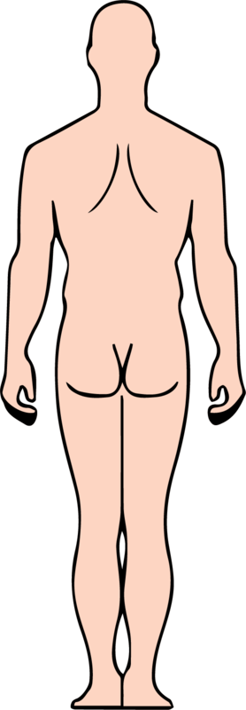 Vista espalda del cuerpo